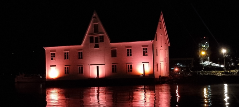 Verdens Poliodag 2024.